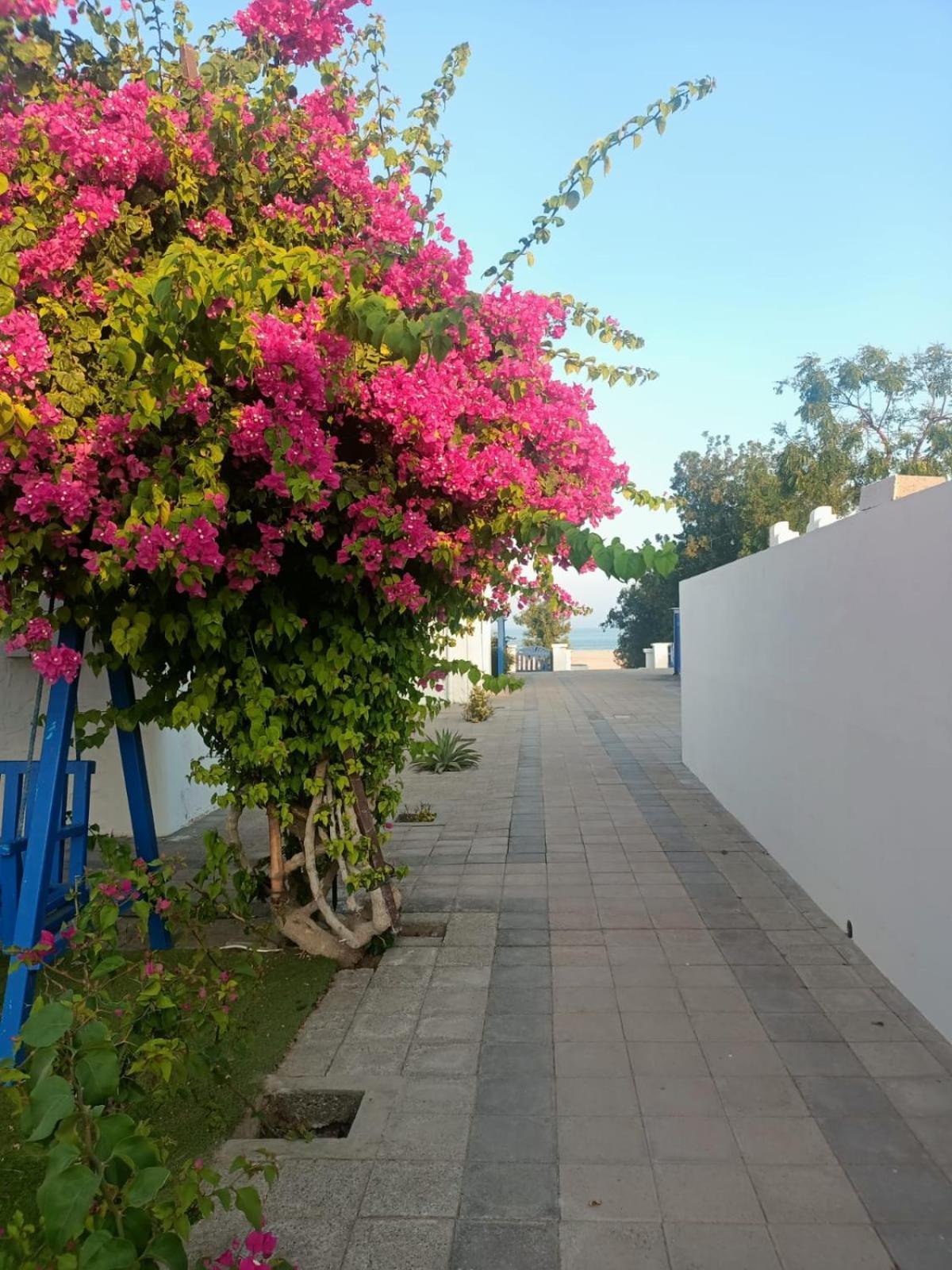 Al-Ashkhara Beach Resort منتجع شاطئ الأشخرة Al Sharqiyah Extérieur photo