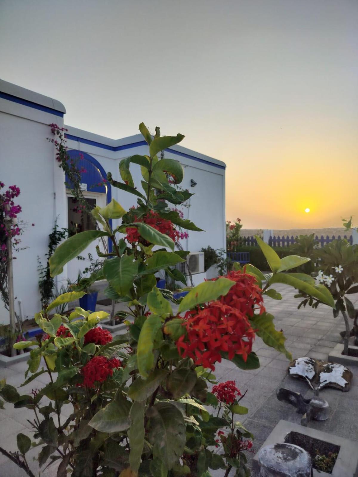 Al-Ashkhara Beach Resort منتجع شاطئ الأشخرة Al Sharqiyah Extérieur photo