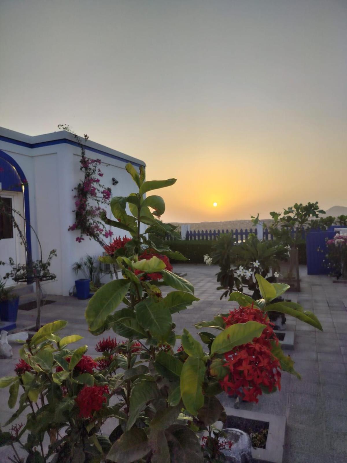 Al-Ashkhara Beach Resort منتجع شاطئ الأشخرة Al Sharqiyah Extérieur photo